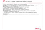 Installazione 113DFK